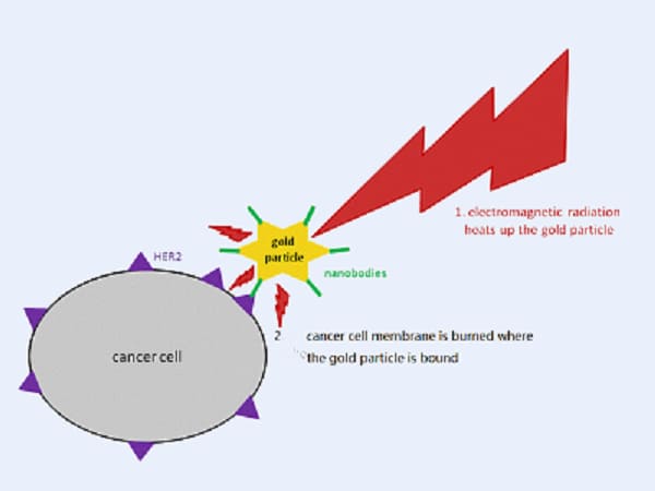 Diagram of Tumor Photothermal Therapy