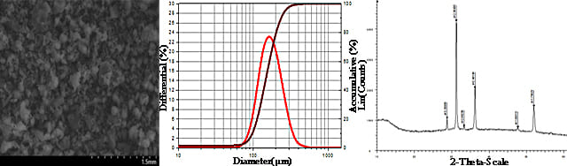 Cobalt Nitride (CoN) Powder-SEM