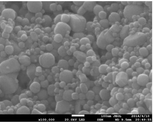 Iron Nitride Powder - SEM