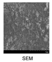 Lanthanum Nitride Powder - SEM