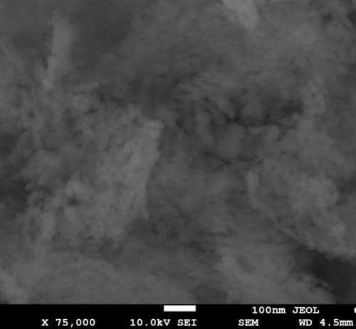 Nano Magnesium Oxide Powder SEM