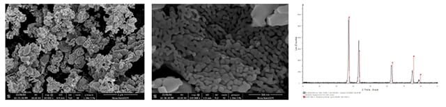 Molybdenum Nitride Powder, Mo2N - SEM