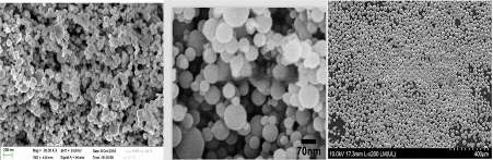 Nanometer Tantalum Powder - SEM