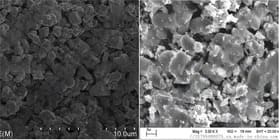 Niobium Nitride Powder - SEM