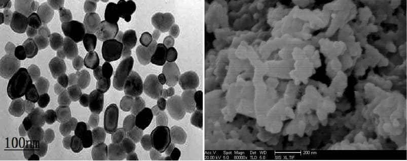 Nanometer Silicon Carbide Powder-SEM