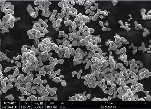 Near-spherical Cobalt Powder SEM