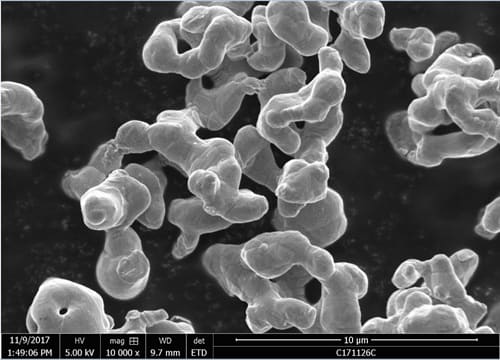 Short-rod Shape Cobalt Powder SEM