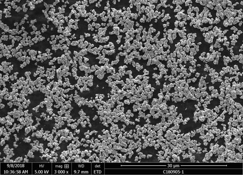 Single Crystal Cobalt Powder SEM