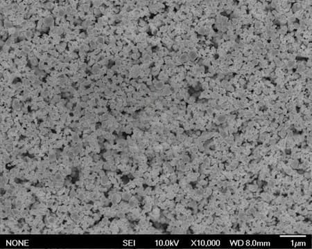 Ultrafine Nano Tungsten Carbide Powder SEM