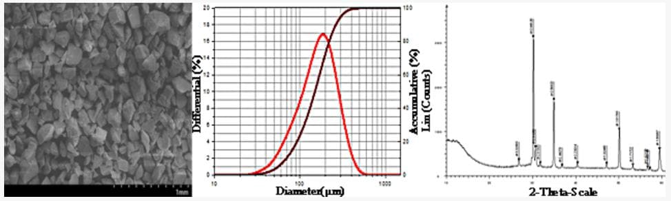 Praseodymium Nitride (PrN) Powder - SEM