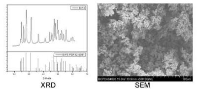 Erbium Fluoride (ErF3) Powder - SEM and XRD