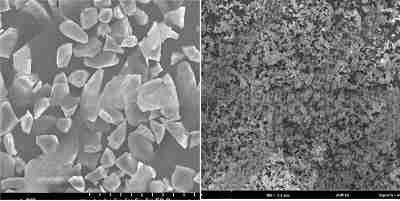 Silicon Carbide (SiC) Powder - SEM