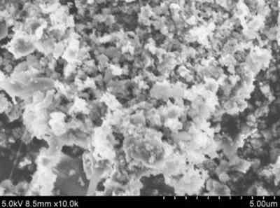 Calcium Disilicide Powder-SEM