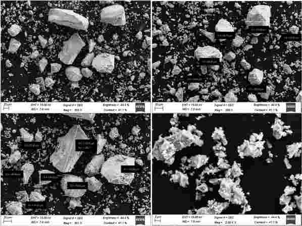 Iron Disilicide (FeSi2) Powder - SEM