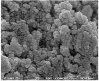 Hafnium Disilicide Powder - SEM