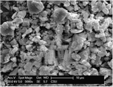 Niobium Disilicide Powder - SEM