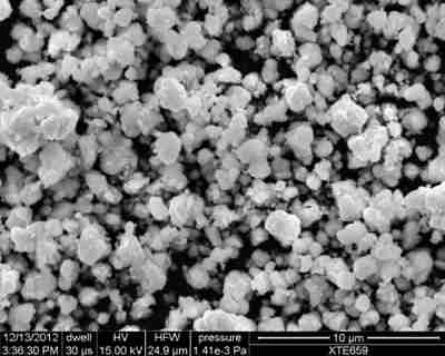 Tantalum Disilicide Powder - SEM