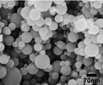 Tantalum (Ta) Nanometer Spherical Powder SEM