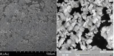 Tantalum Nitride Powder, TaN - SEM