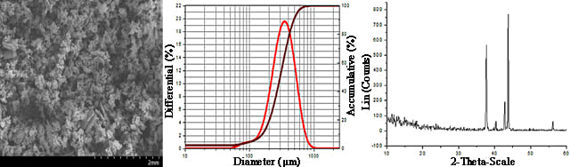 Titanium Nitride Powder - SEM